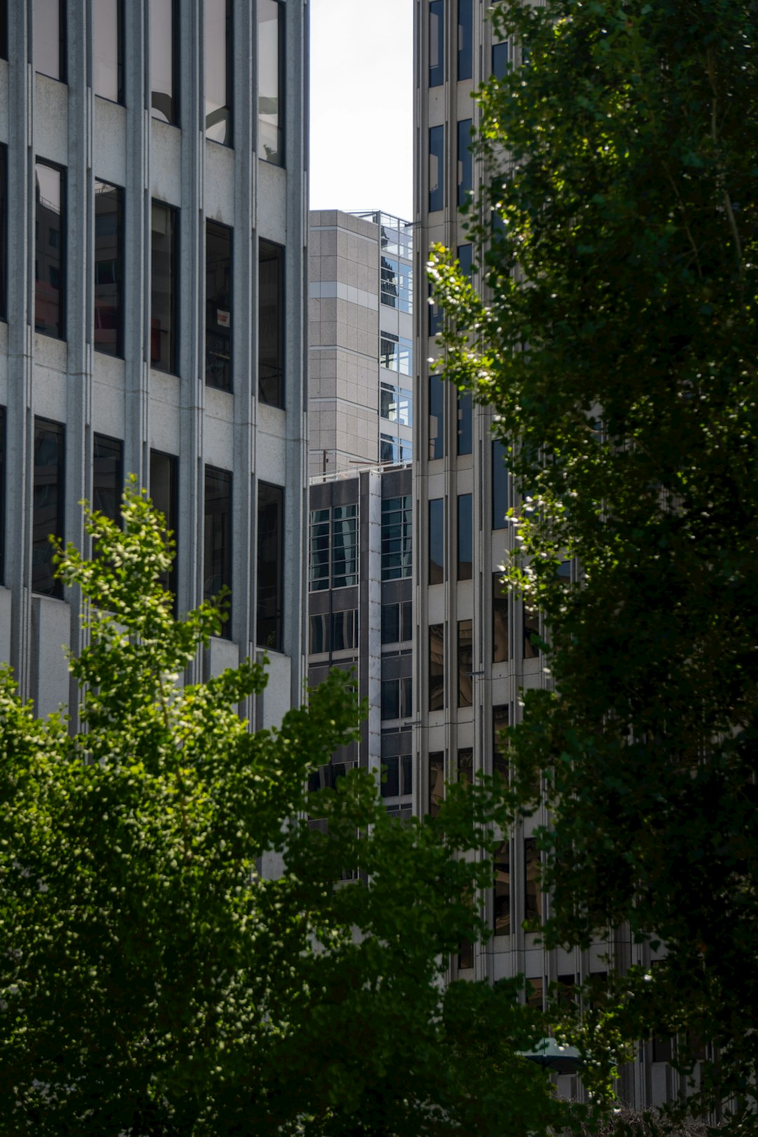 Tech Hub Office Complex
