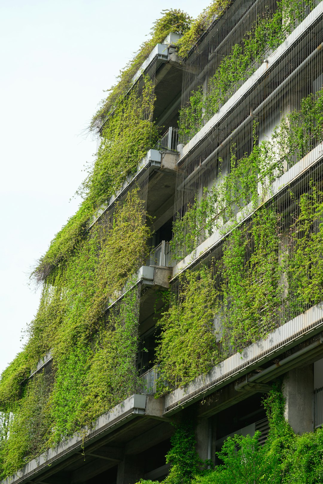Sustainable Architecture