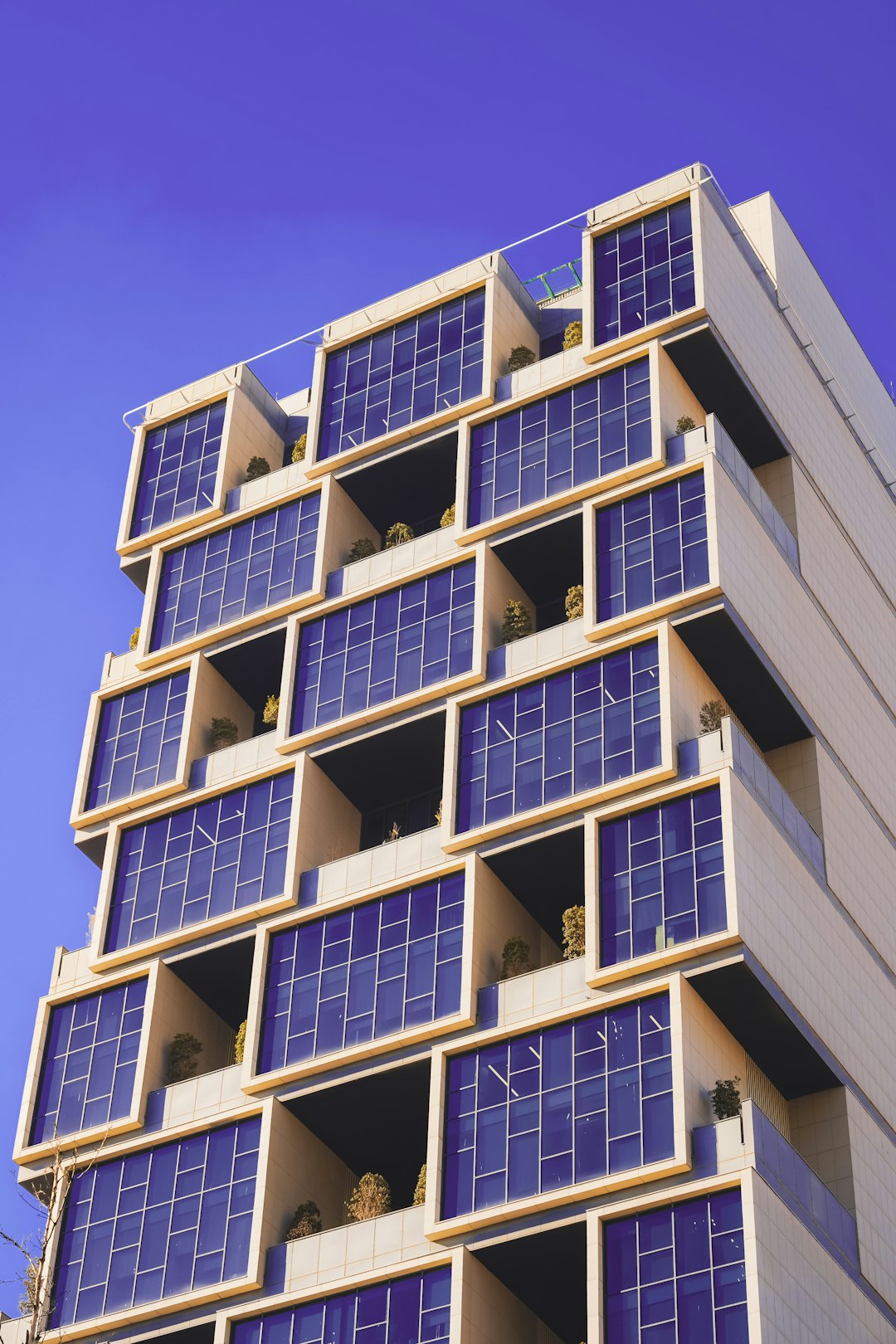 Sustainability Consulting